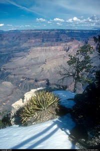 Photo by uy707 |  Grand Canyon 